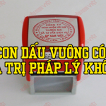 con-dau-vuong-co-gia-tri-phap-ly-khong