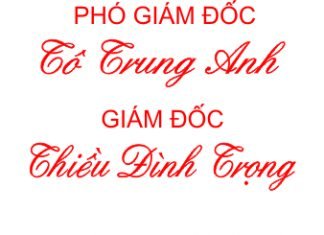 dịch vụ khắc dấu mã số thuế